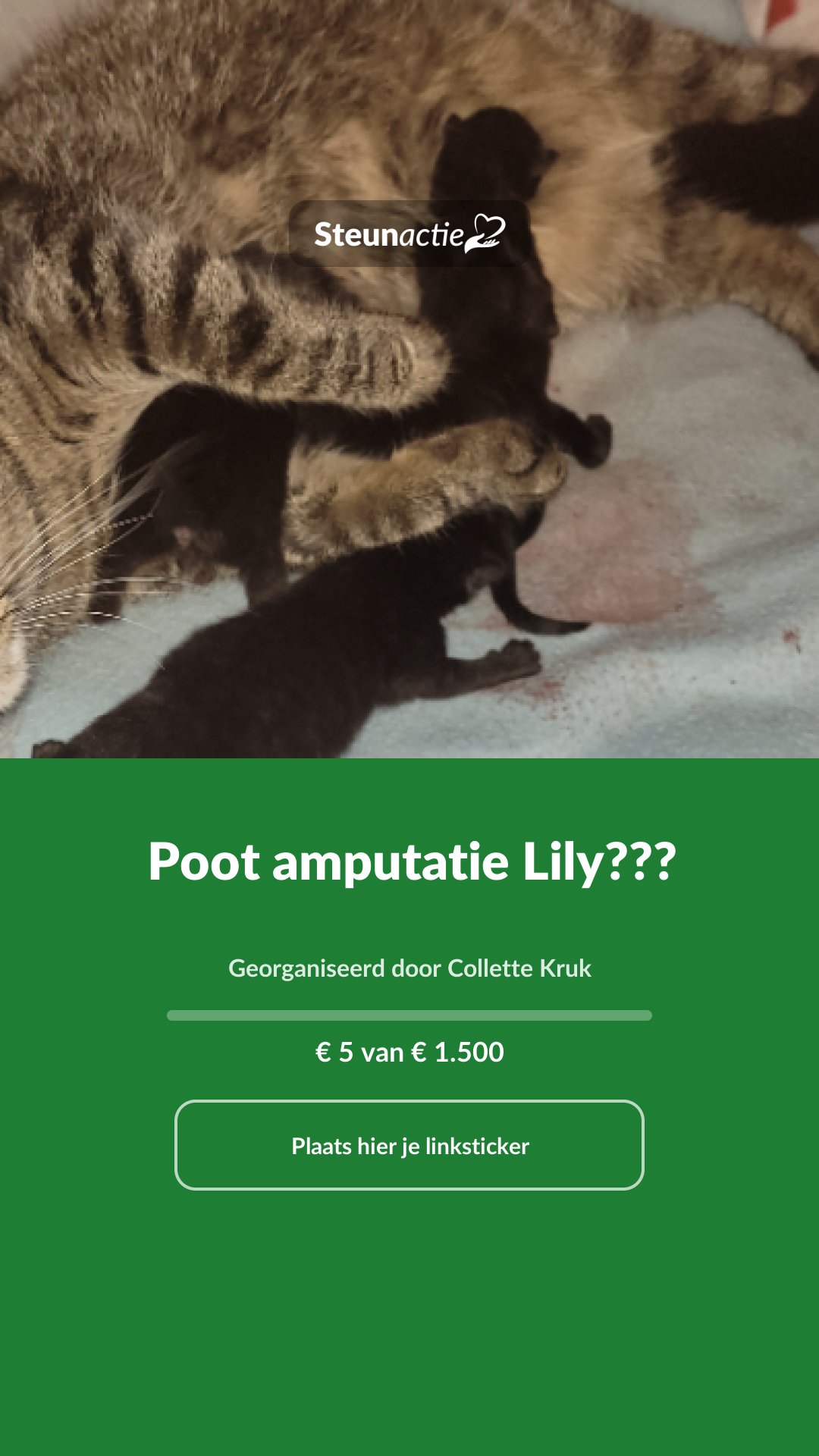Voorbeeld van de afbeelding