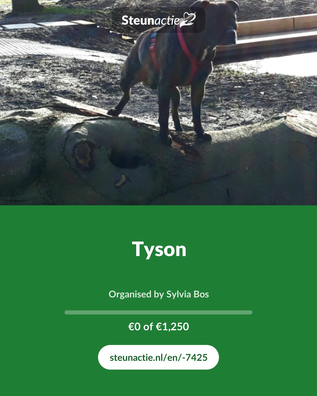 Preview of the image