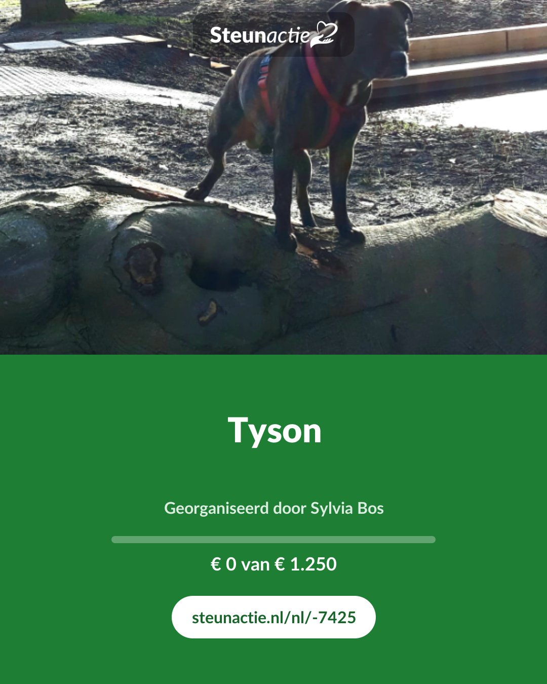 Voorbeeld van de afbeelding