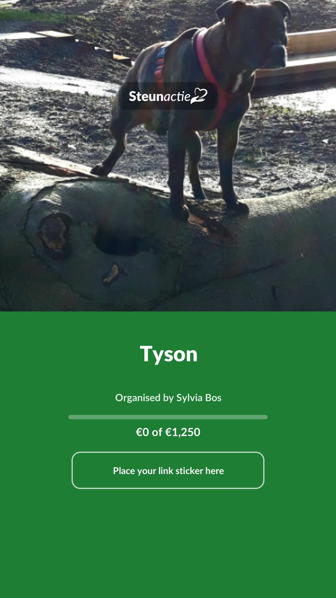 Preview of the image