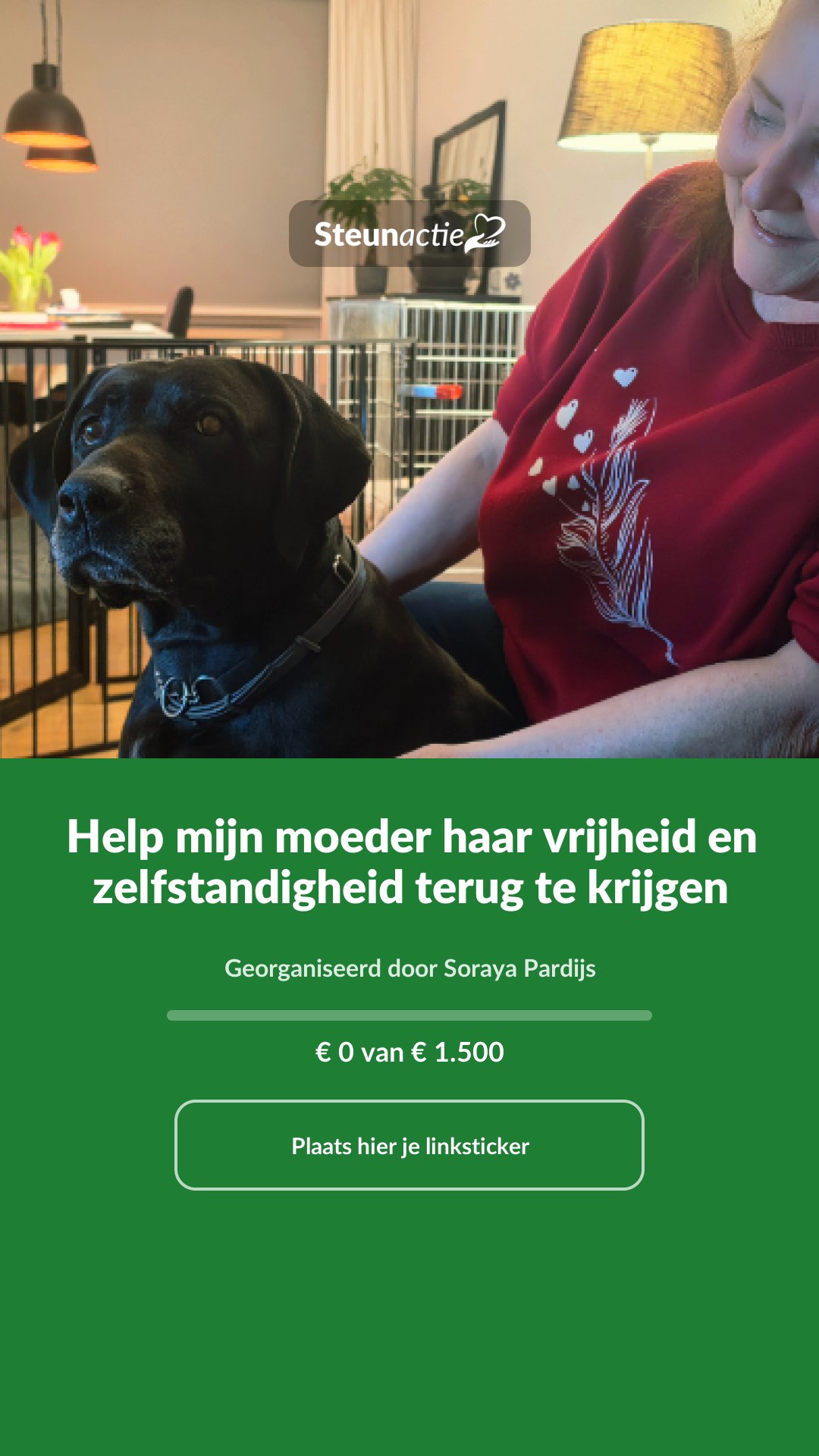 Voorbeeld van de afbeelding