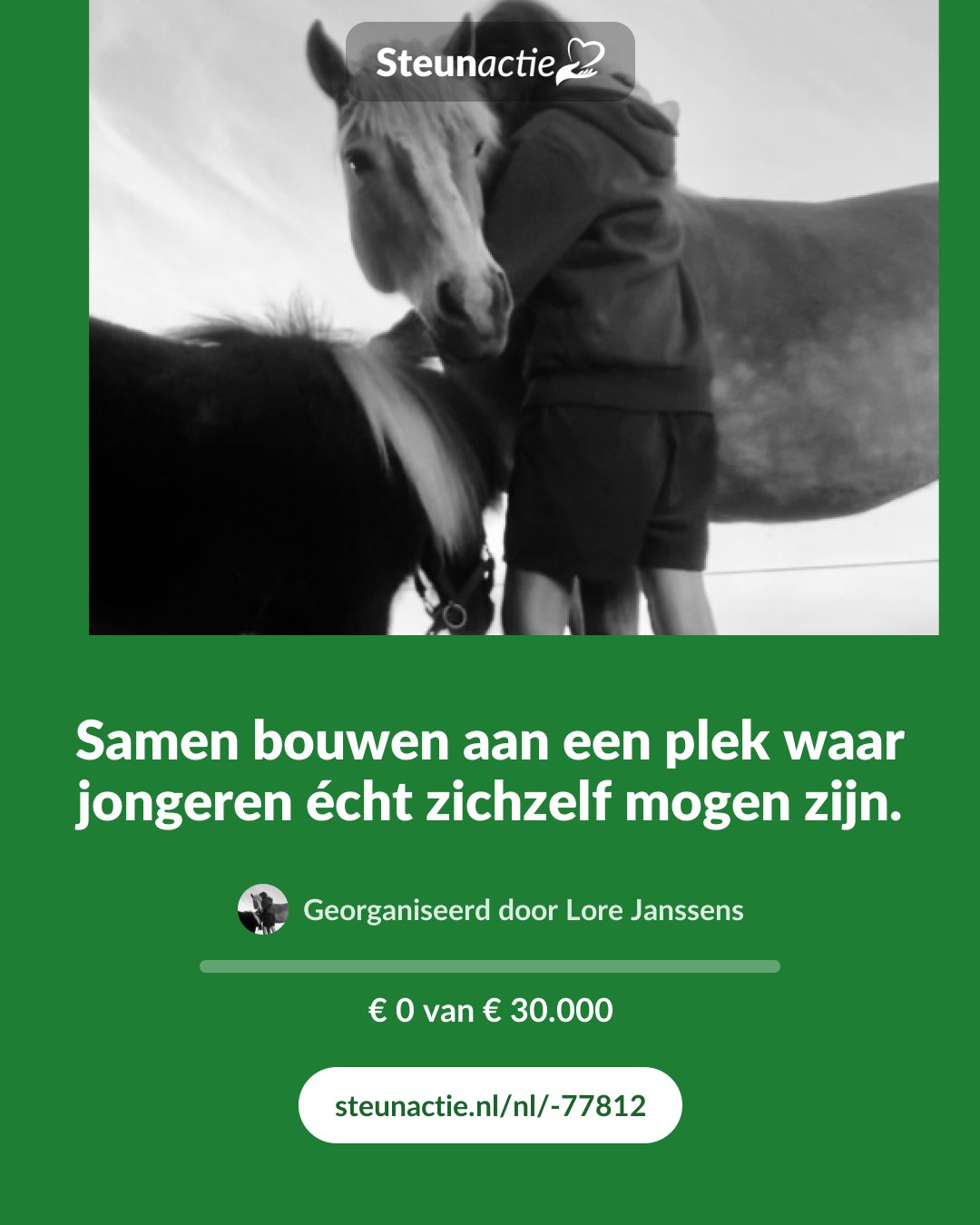 Voorbeeld van de afbeelding