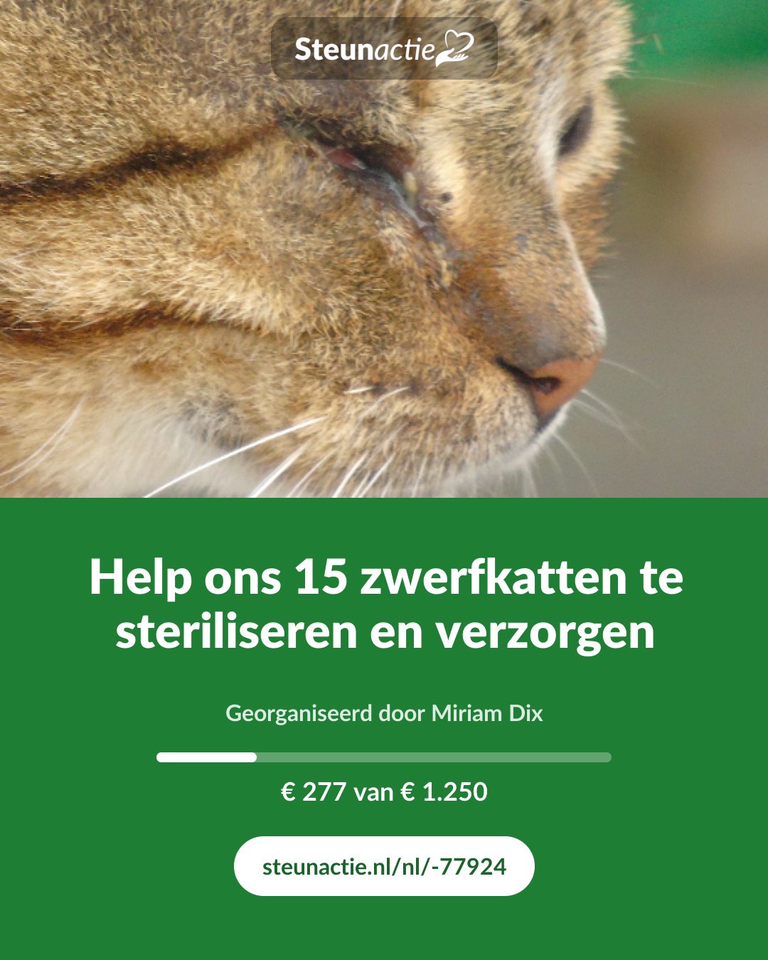 Voorbeeld van de afbeelding