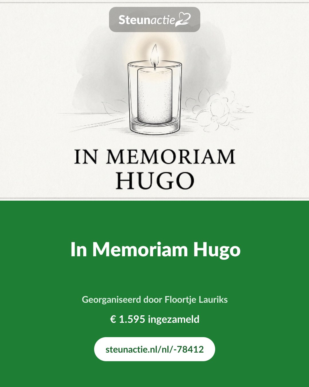 Voorbeeld van de afbeelding