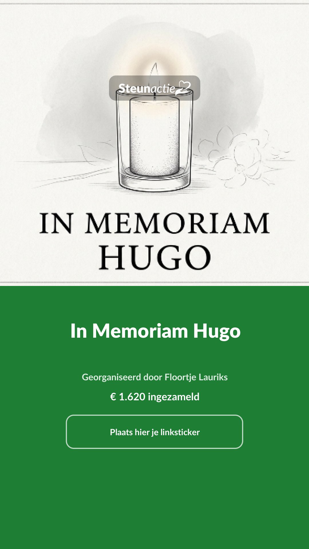 Voorbeeld van de afbeelding