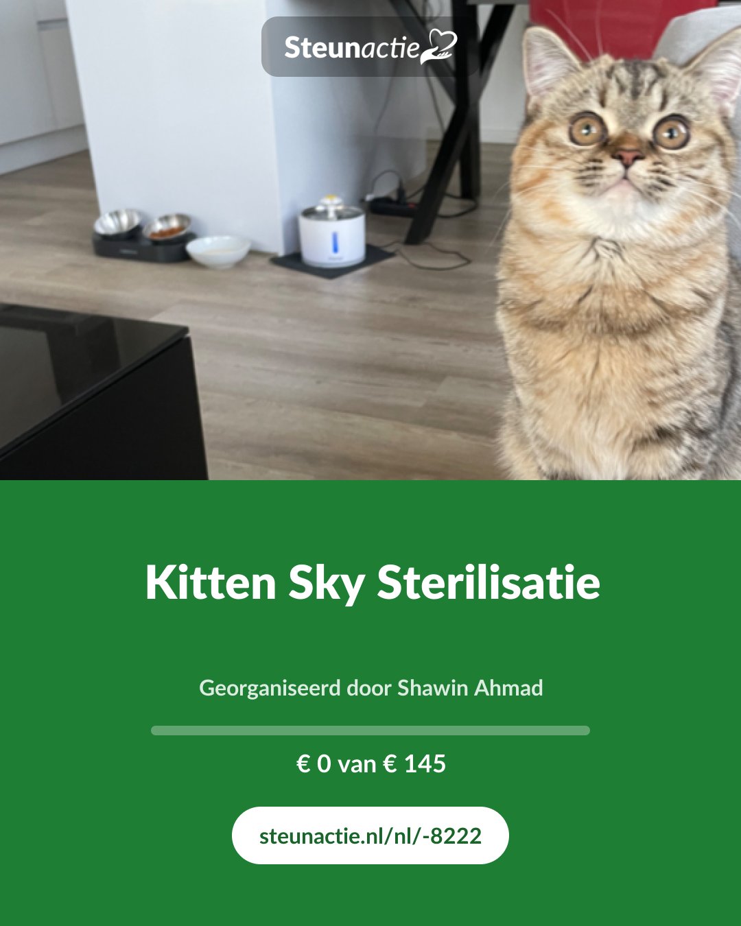 Voorbeeld van de afbeelding