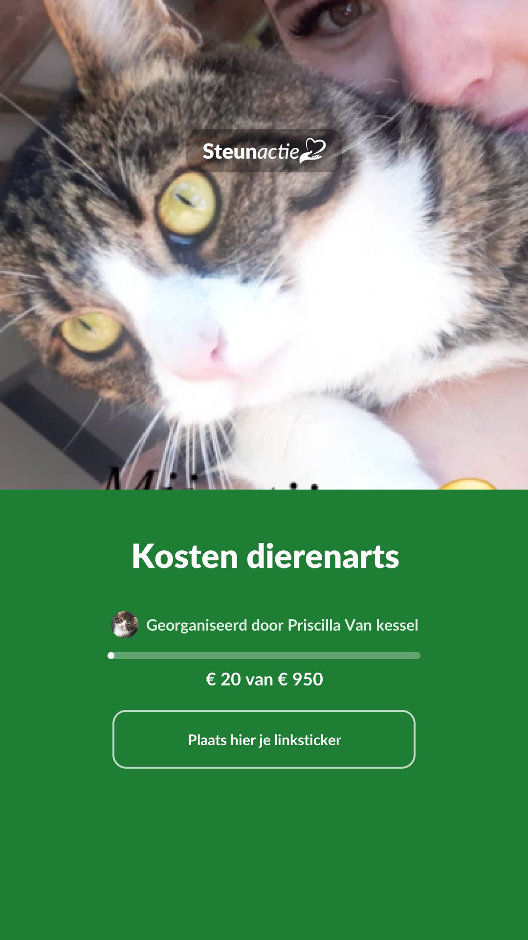 Voorbeeld van de afbeelding