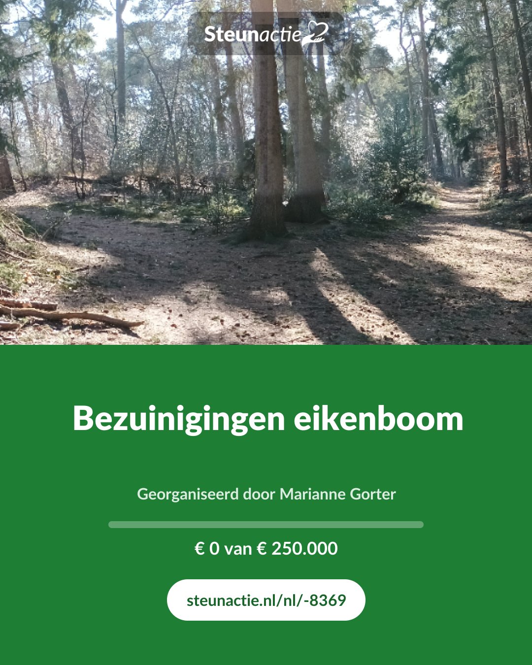 Voorbeeld van de afbeelding