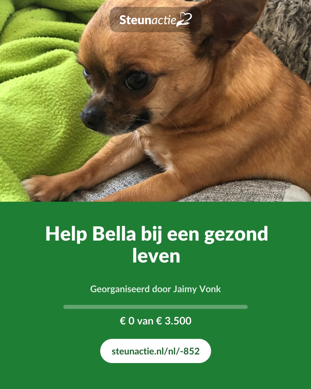Voorbeeld van de afbeelding