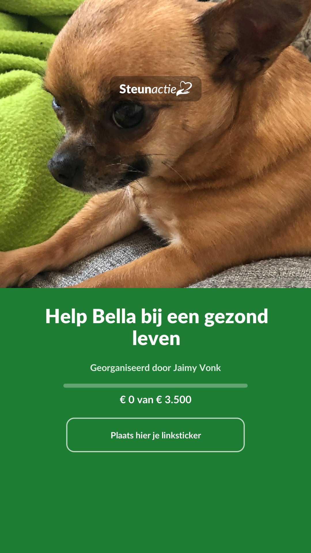 Voorbeeld van de afbeelding