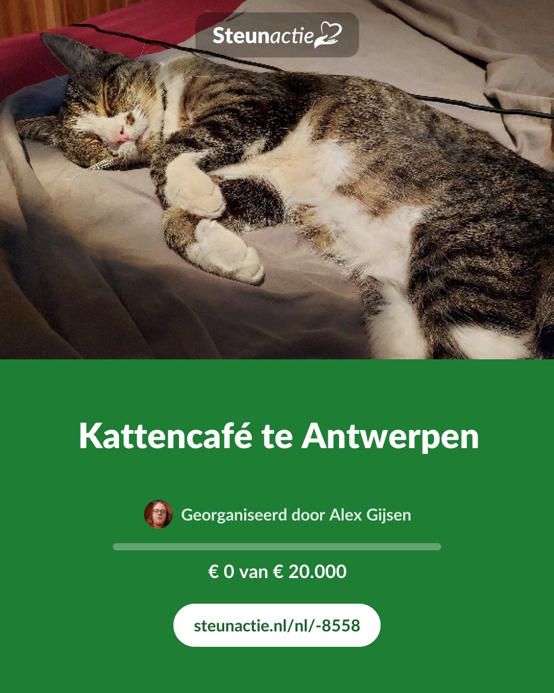 Voorbeeld van de afbeelding