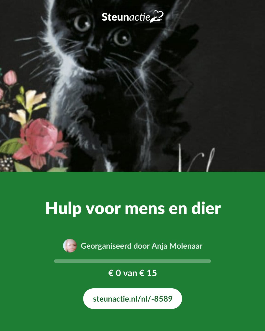 Voorbeeld van de afbeelding