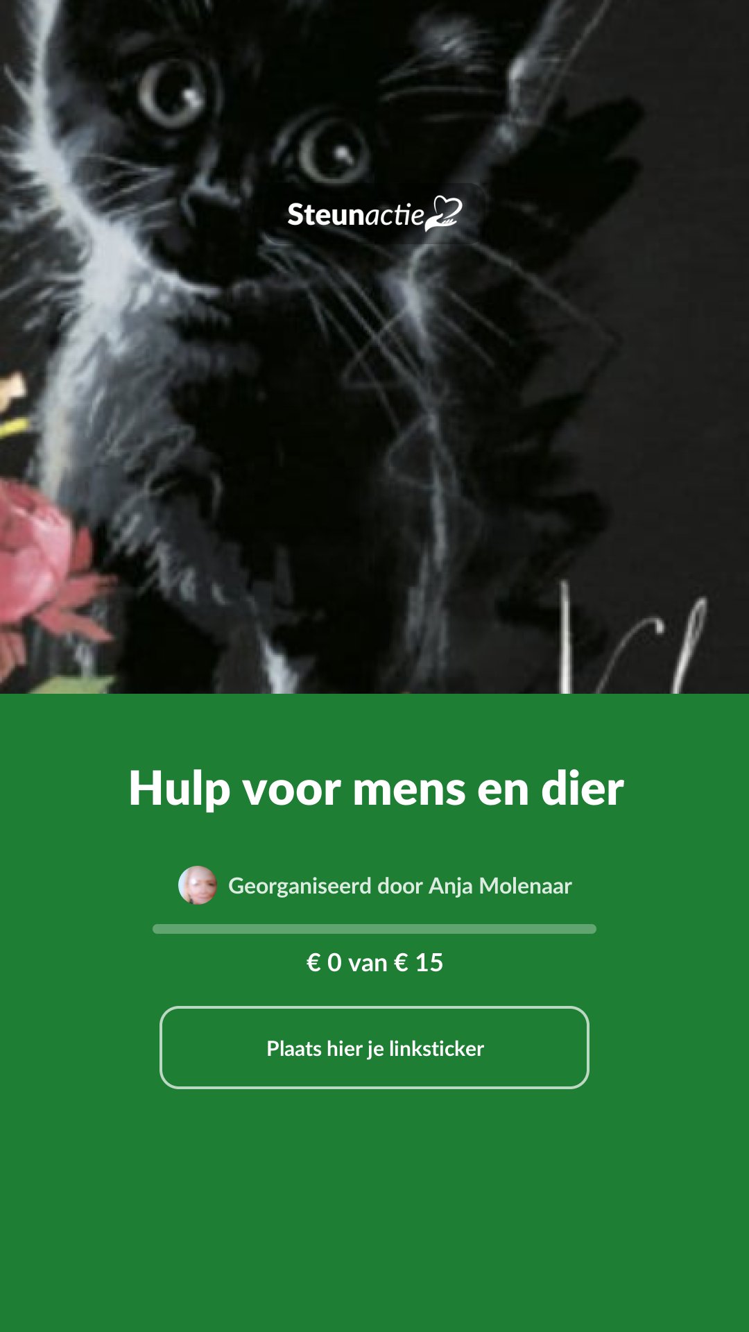 Voorbeeld van de afbeelding