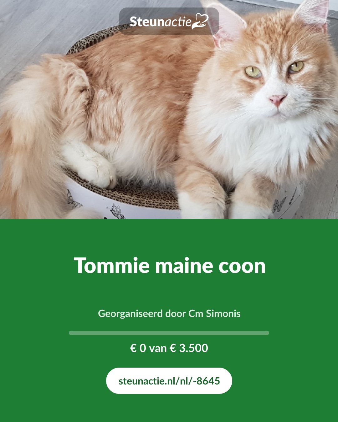 Voorbeeld van de afbeelding