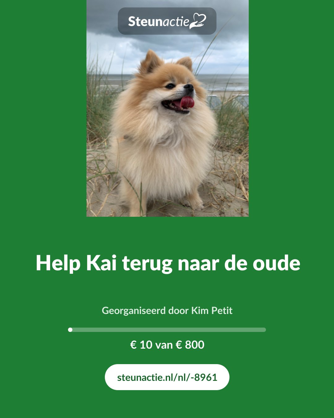 Voorbeeld van de afbeelding