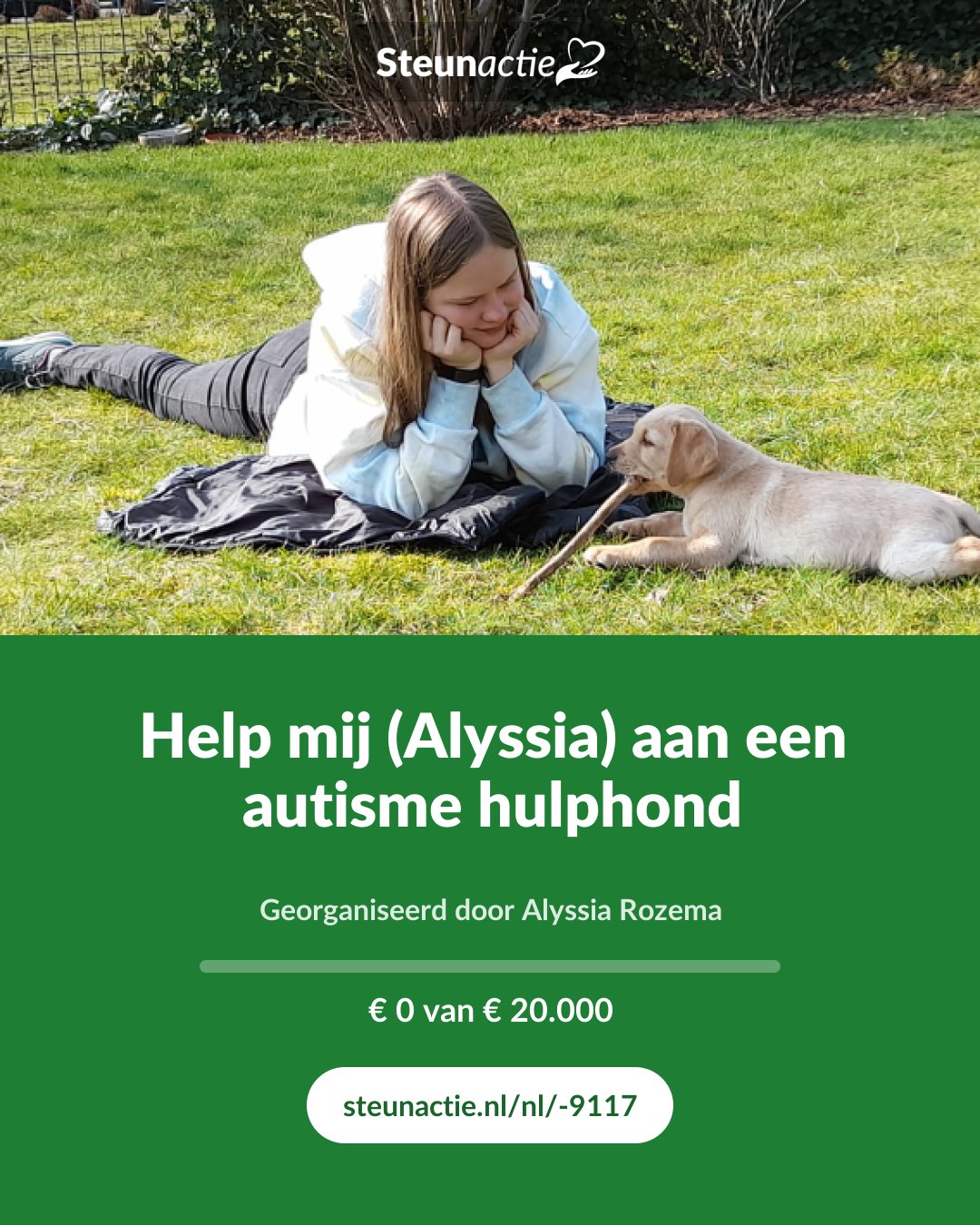Voorbeeld van de afbeelding
