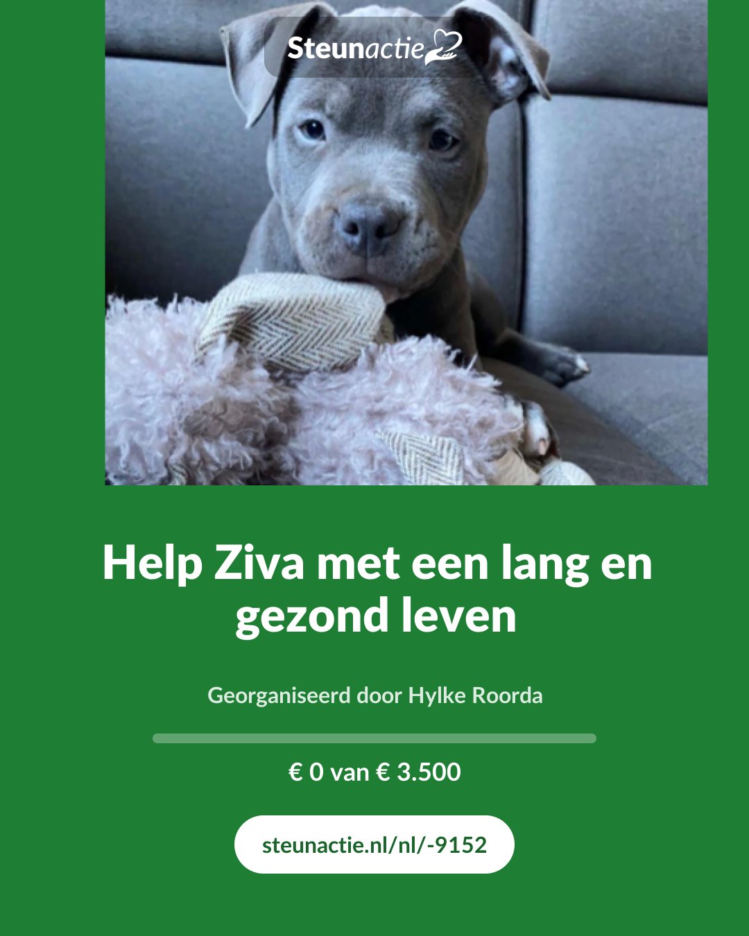 Voorbeeld van de afbeelding