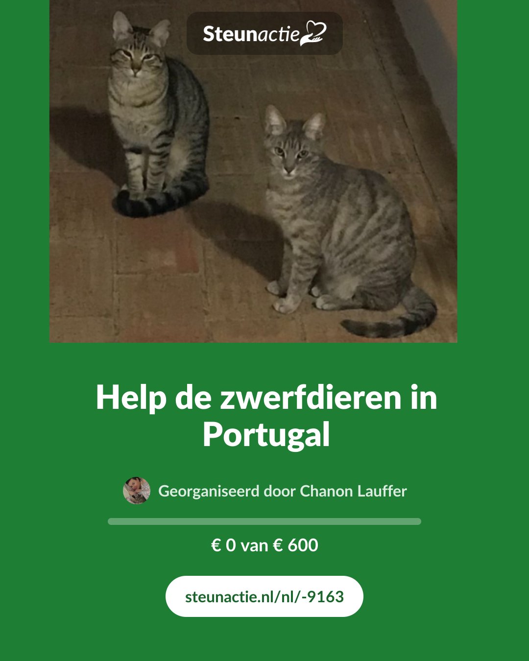 Voorbeeld van de afbeelding