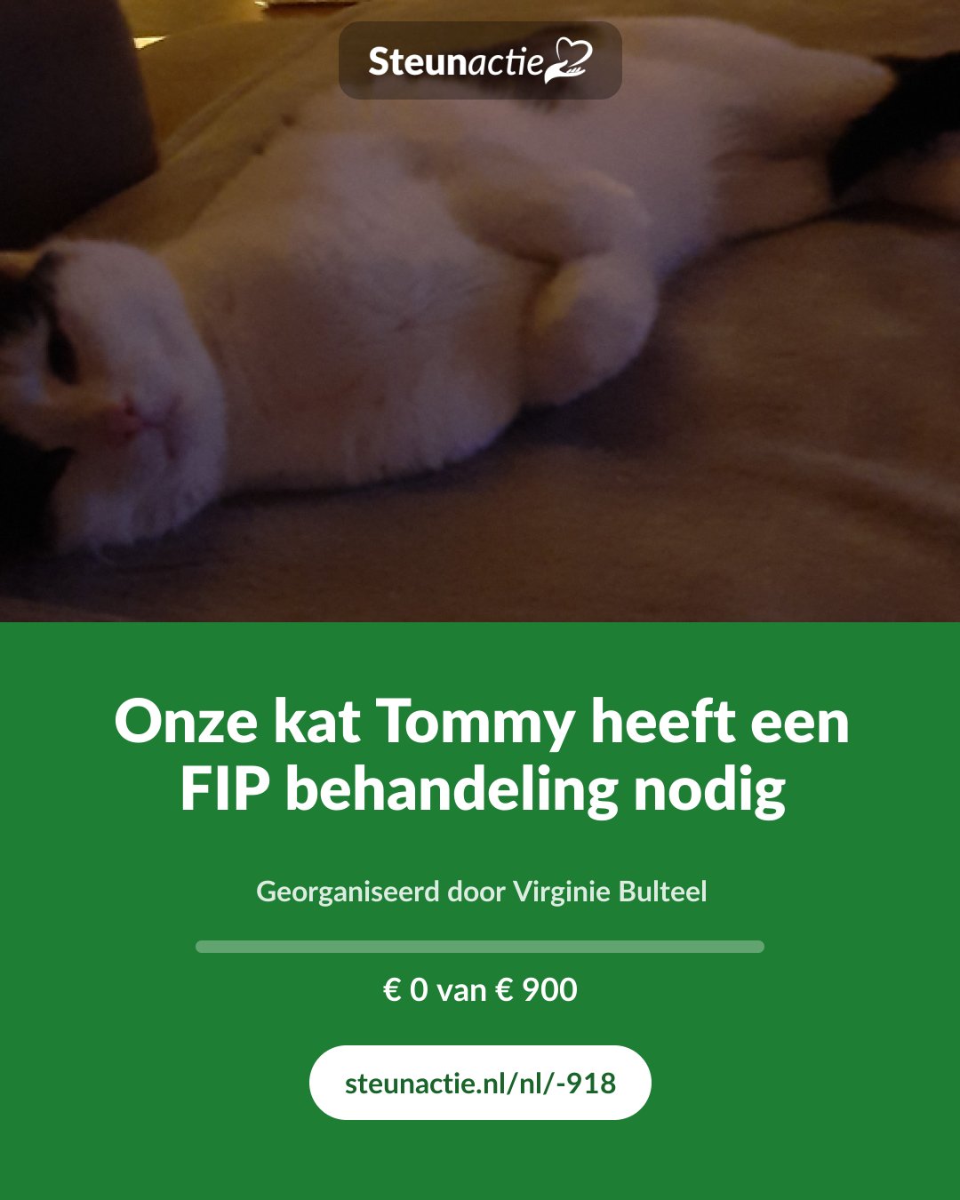 Voorbeeld van de afbeelding