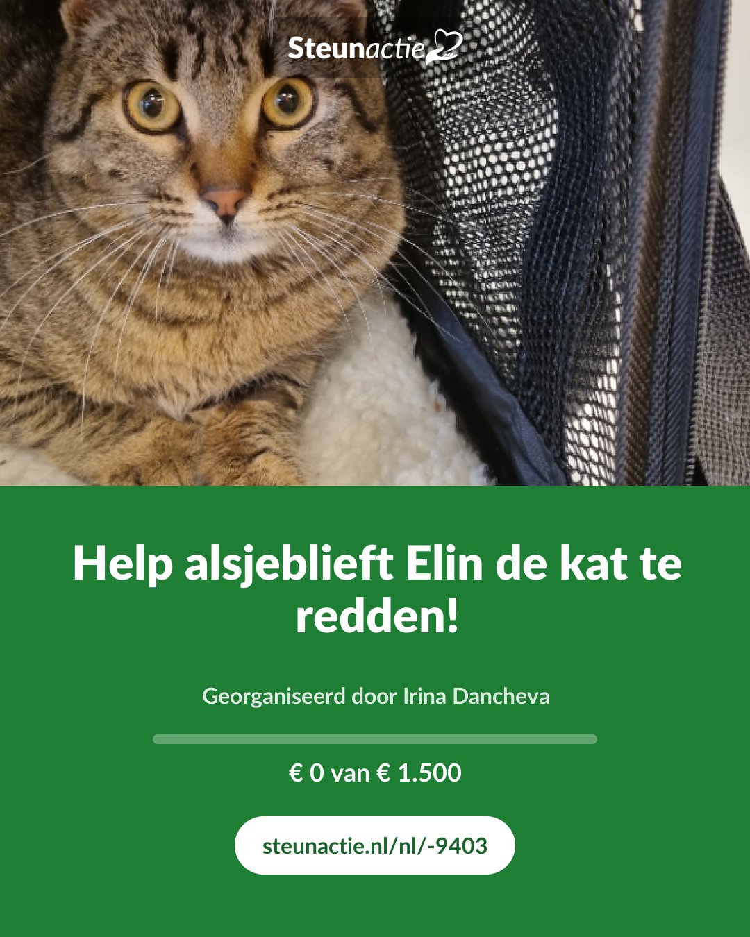 Voorbeeld van de afbeelding