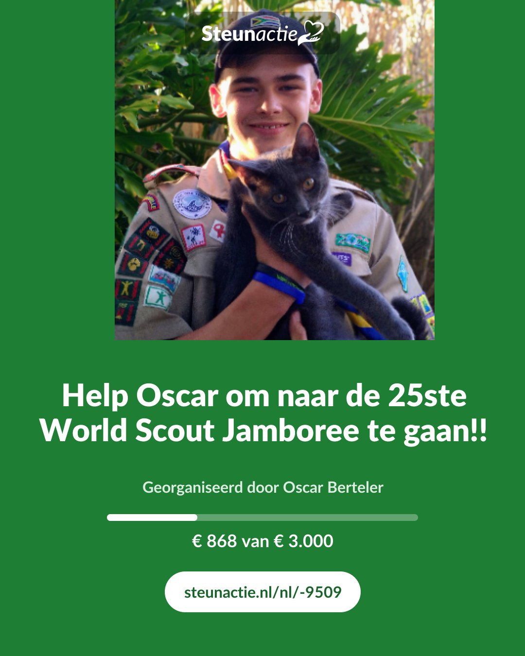 Voorbeeld van de afbeelding
