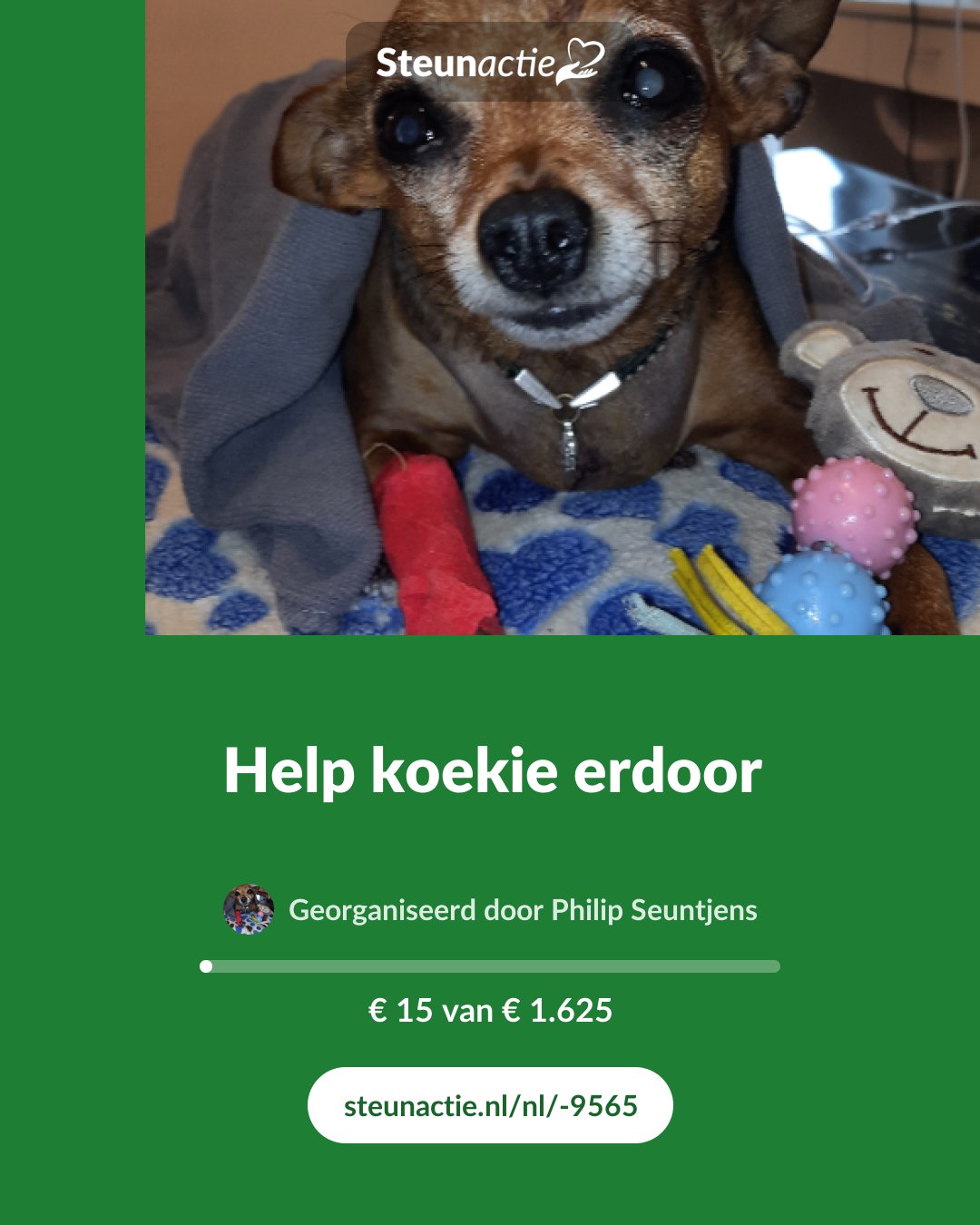 Voorbeeld van de afbeelding