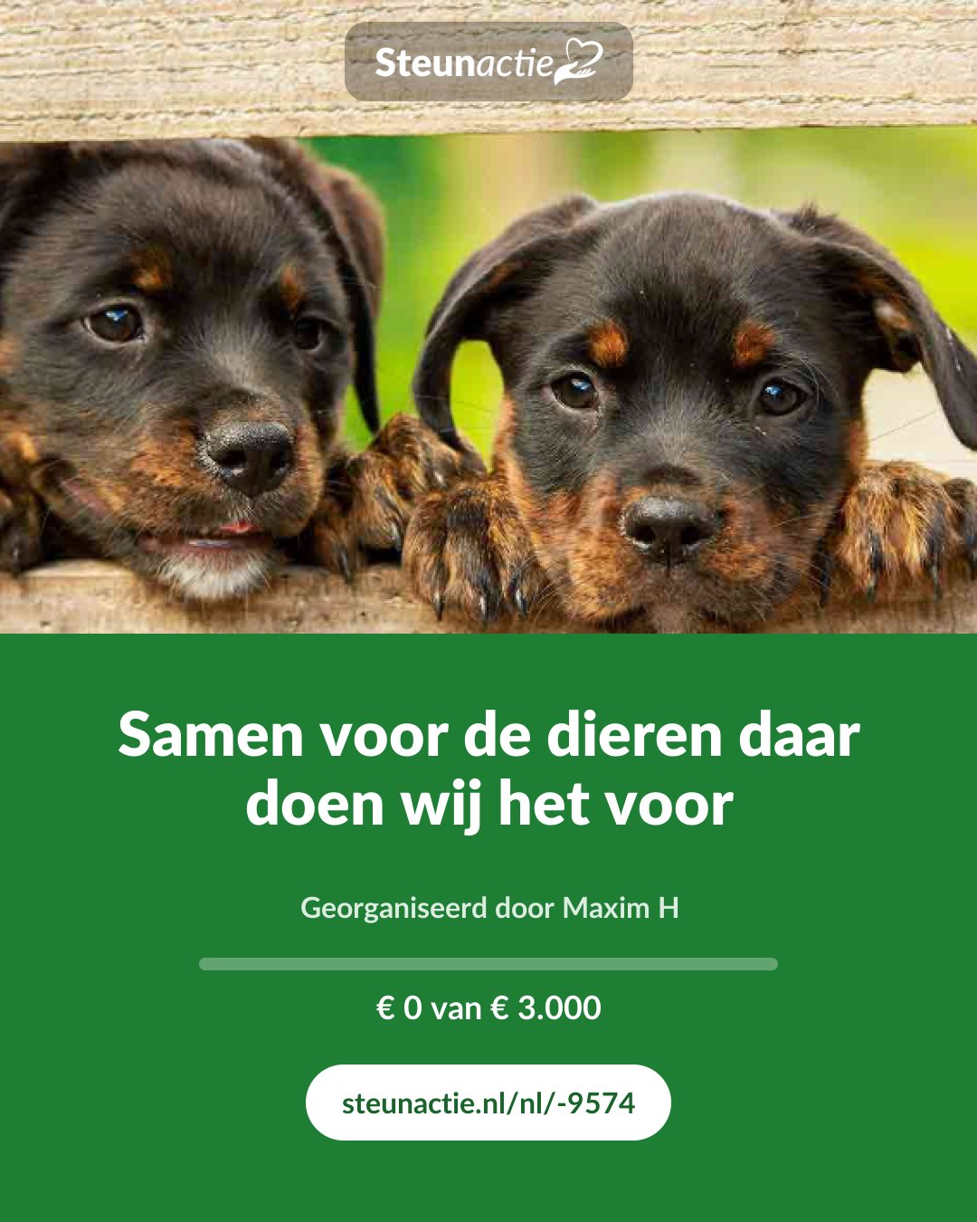 Voorbeeld van de afbeelding