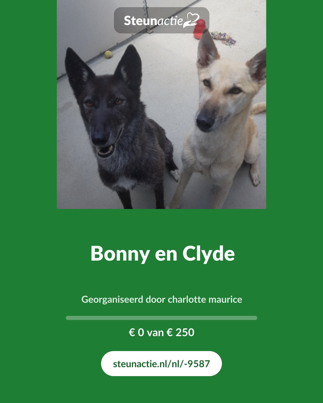 Voorbeeld van de afbeelding