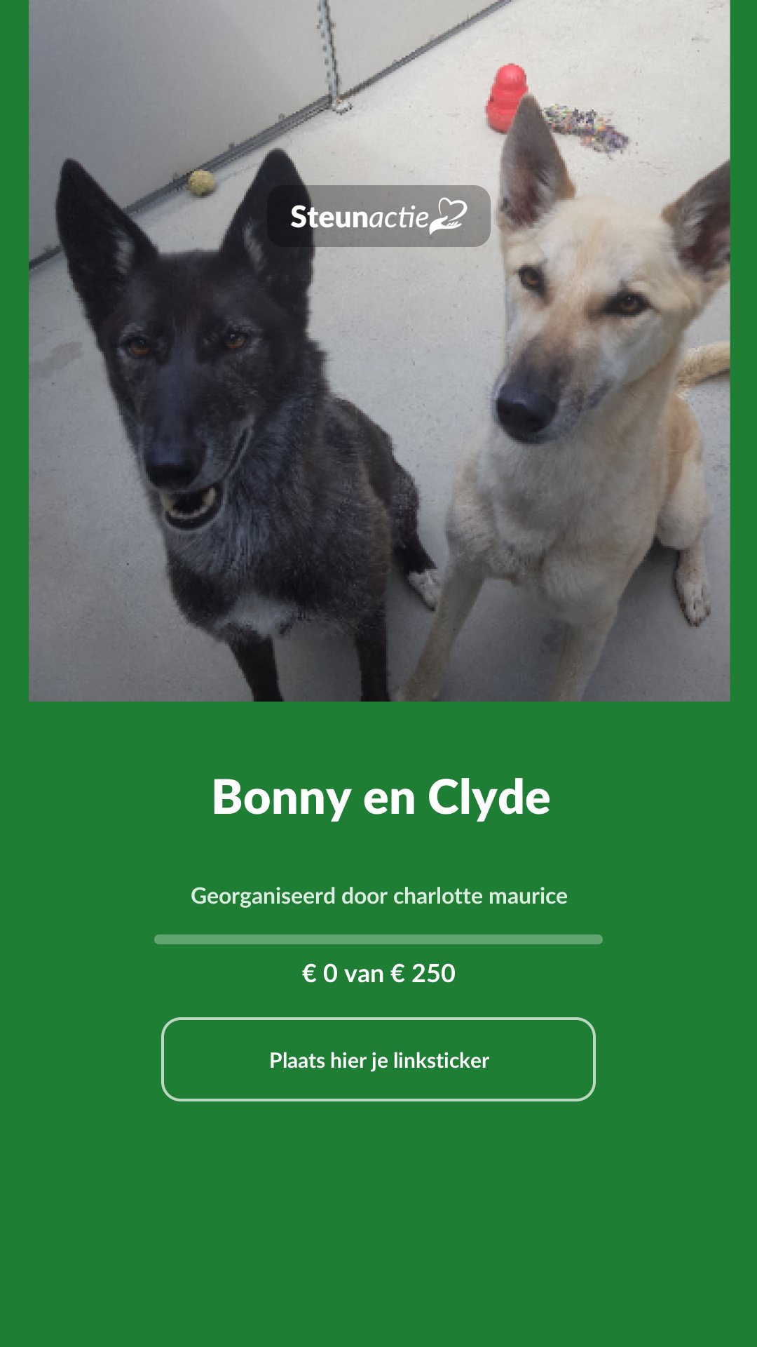 Voorbeeld van de afbeelding