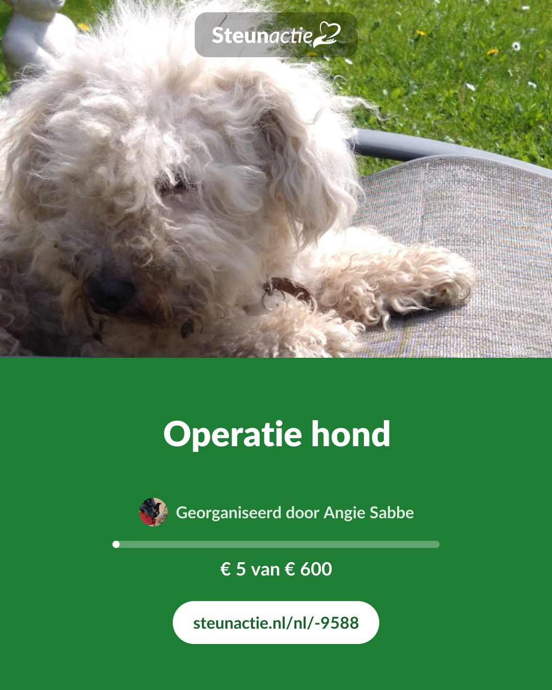 Voorbeeld van de afbeelding