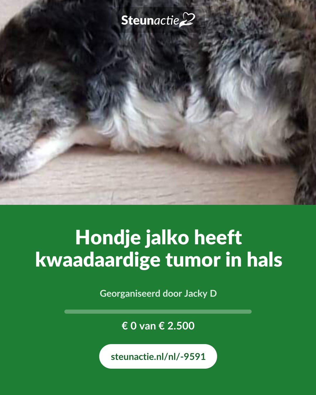 Voorbeeld van de afbeelding