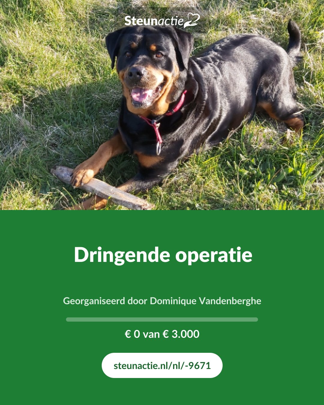 Voorbeeld van de afbeelding