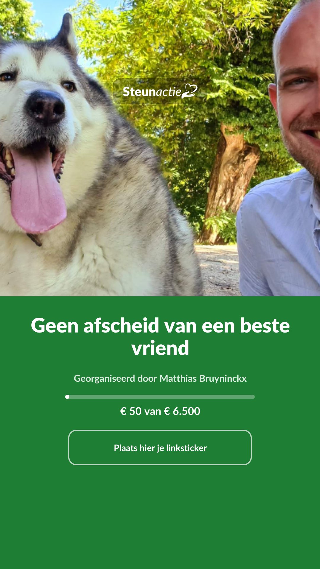 Voorbeeld van de afbeelding