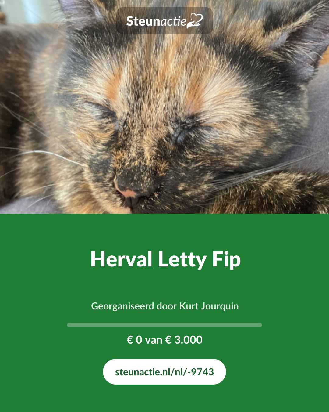 Voorbeeld van de afbeelding