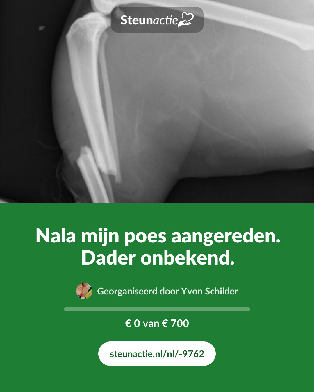 Voorbeeld van de afbeelding