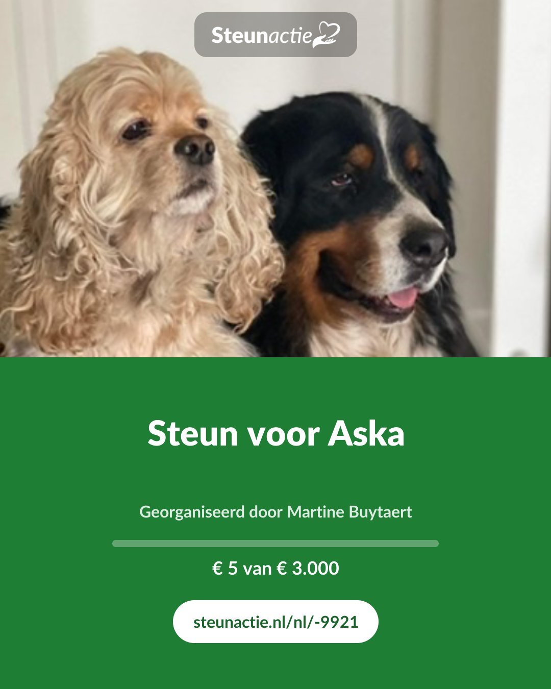 Voorbeeld van de afbeelding