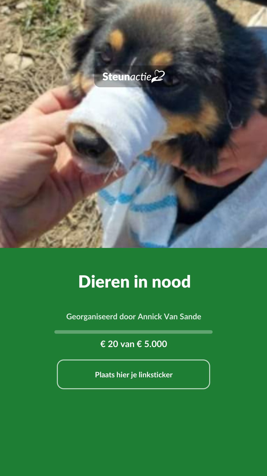 Voorbeeld van de afbeelding