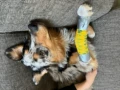 thumbnail photo 2022 11 04 16 27 07