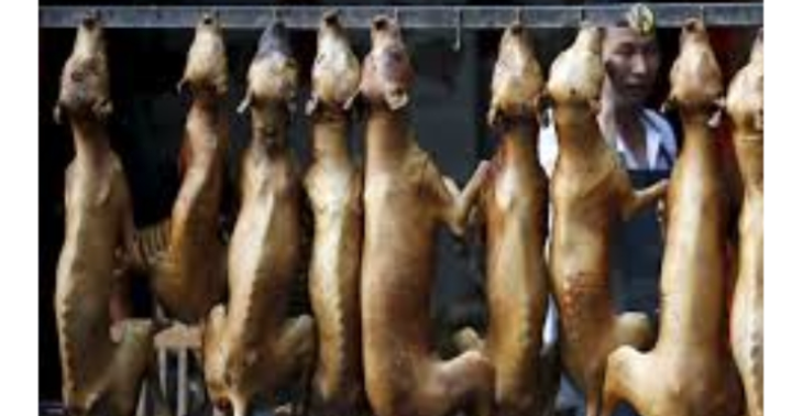 Help Straathonden in China 