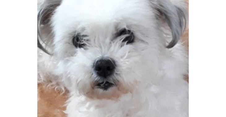 Help lieve mila 