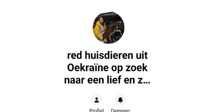 Hondjes redden 
