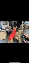 img 0319