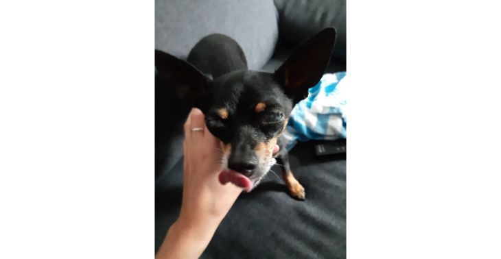 Wie wil aub helpen met tyson zijn oogjes.