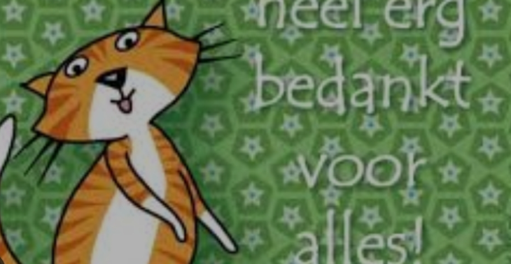 Help deze lieve poes