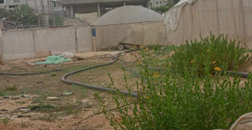 To help my family to survive in Gaza