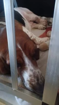 fb img 1712081203491