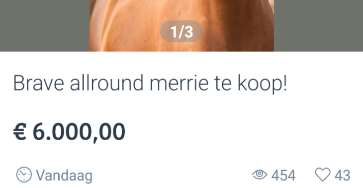 Paard