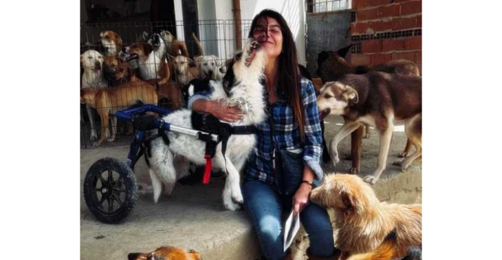 Voedselbank voor dieren