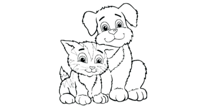 Help mij dieren op te vangen