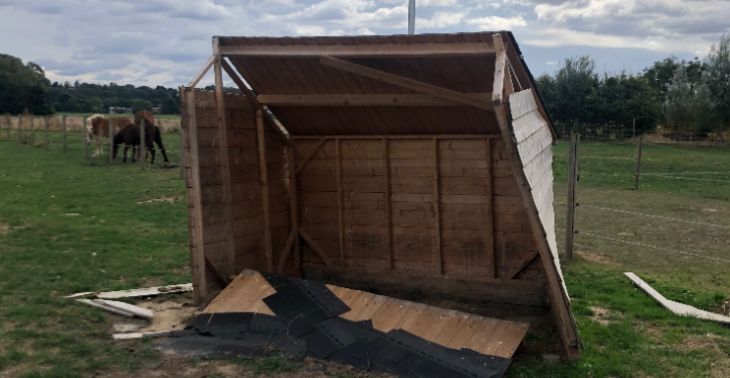 Nieuwe schuilstal voor onze kwetsbare paardjes